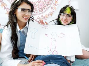 Простой принцип работы спермы